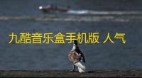 九酷音乐盒手机版 人气热度：31℃